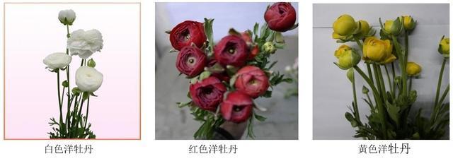 t013b6d158998bd3fa8